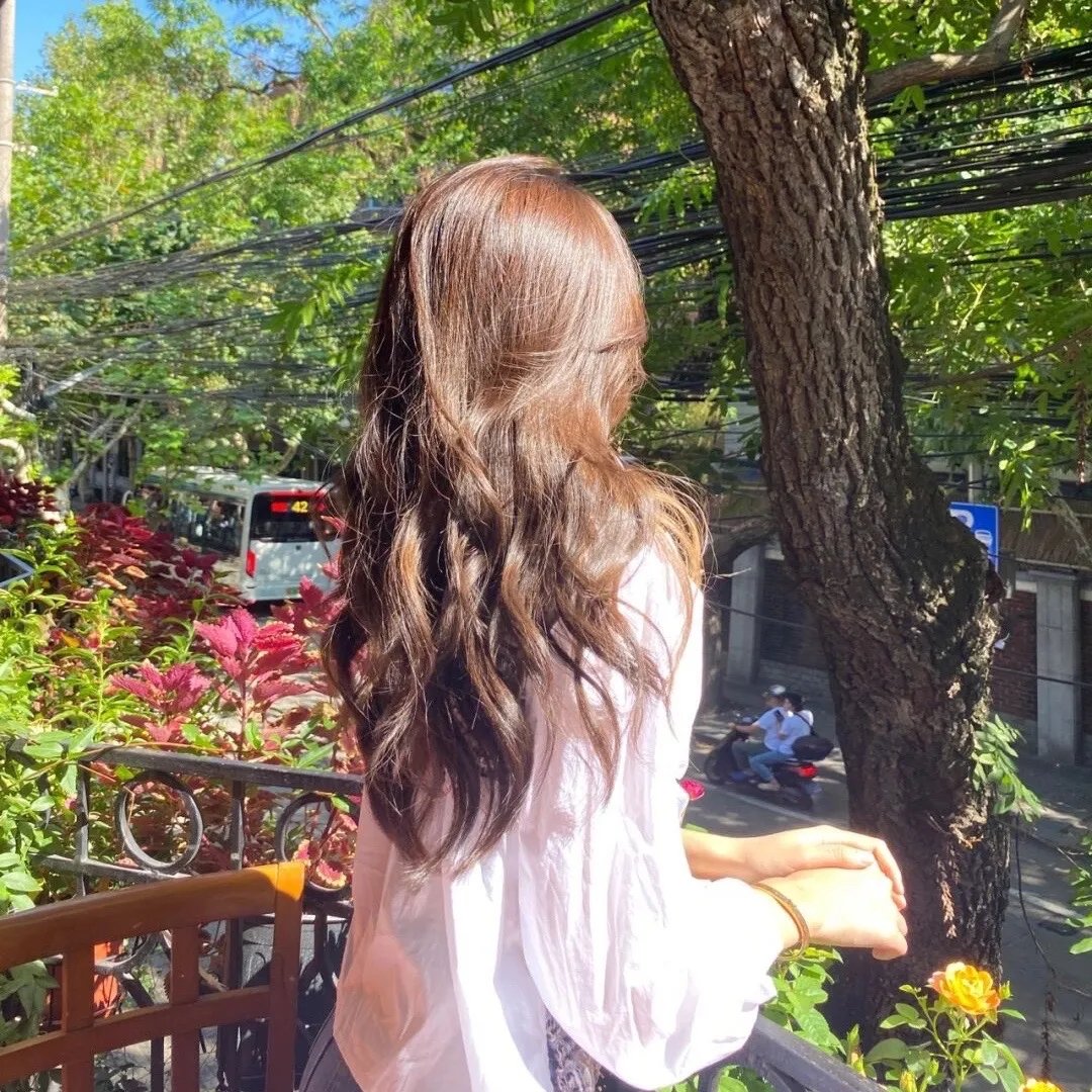 凤唳九天之焰赤篇